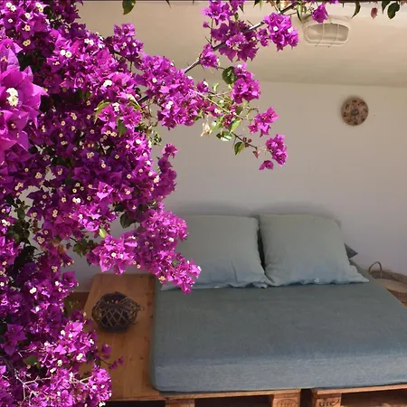 La Casa De La Oma -la Caseta Tatil Evi *